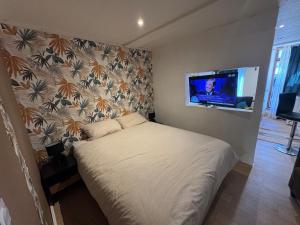 a bedroom with a bed with a tv on the wall at Studio au rdc cœur de ville 1 in Sélestat