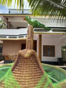 a green bird sitting on top of a basket at Soul Shore, Varkala in Varkala