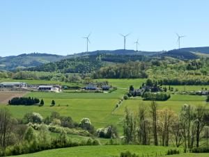 a green field with wind turbines in the distance at Lausebuche Im Sauerland in Lennestadt