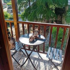 a dog laying on a table on a balcony at Family garden house in Limenas