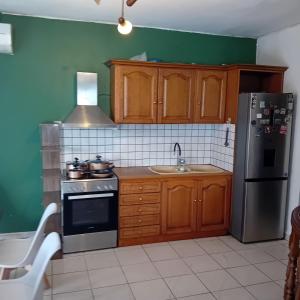 a kitchen with a stove and a sink and a refrigerator at Family garden house in Limenas