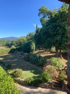 a view of the garden from the tower at Appartamento Puliesini in Montieri