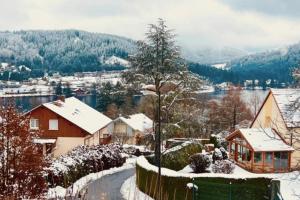a house covered in snow with a view of a lake at Cozy apartment with lake view in Gérardmer