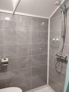a bathroom with a shower and a toilet at Cozy Fjord Studio in Åna-Sira Near Brufjell and Jøssingfjord in Flekkefjord