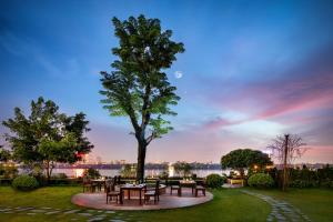 a patio with tables and a tree at night at NSH Riverside Glamping Resort in Hanoi