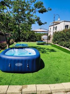 a blue hot tub in a field of grass at Villa O'Serbante in Sant'Agnello
