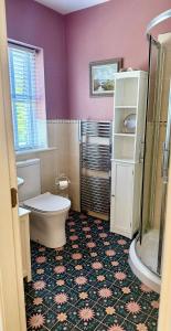 a bathroom with a toilet and a shower at Red Deer Cottage near Connemara National Park in Letterfrack in Letterfrack +42 photos