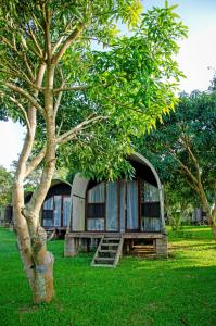 a small house sitting in the grass next to a tree at Buvi Camp in Buvi