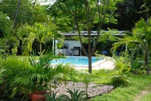 a swimming pool in a garden with palm trees at Nyotas gem in Watamu