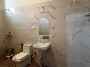a bathroom with a toilet and a sink and a mirror at Brahma Heritage Resort in Pushkar
