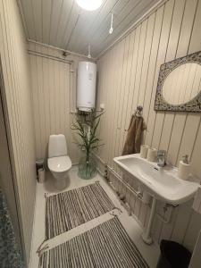 a bathroom with a sink and a toilet at En mysig liten Stuga nära naturen och havet in Västlax +12 photos