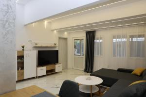 a living room with a couch and a tv at Elegant City Home-Free Parking in Timişoara
