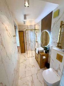 a bathroom with a toilet and a shower and a sink at Willa Regina II Resort & SPA in Zakopane