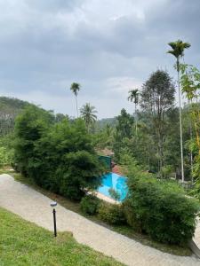 a swimming pool surrounded by trees and bushes at Skyleaf Resort in Meenangadi