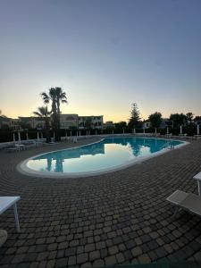 a large swimming pool with chairs and a palm tree at La CASA DI LUDO in Bernalda