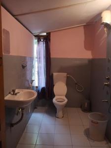 a bathroom with a toilet and a sink at First Alleppey homestay in Alleppey
