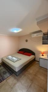 a bedroom with a bed in a room at Maja Apartmani in Sutomore