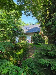 a house seen through the trees in the yard at Dolina Izerów in Sucha