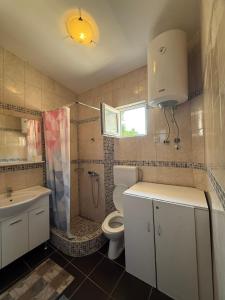 a bathroom with a toilet and a sink and a shower at Maja Apartmani in Sutomore