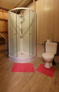 a bathroom with a toilet and a glass shower at Gîte BELLA in Ebly
