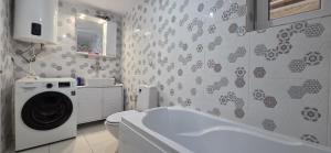 a bathroom with a toilet and a washing machine at Iancina House & Art Gallery in Salcioara