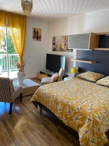 a bedroom with a bed and a flat screen tv at Les Begonias in Cilaos