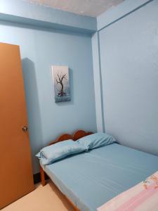 a bed in a room with a blue wall at Aunora Standard Room in San Miguel