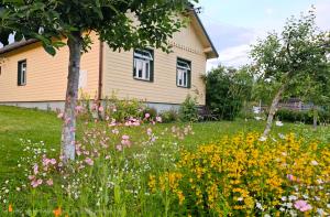 a field of flowers in front of a house at Cicha Chata in Wójtowa