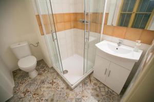 a bathroom with a shower and a toilet and a sink at Heldův pokojík v centru města in Zákupy