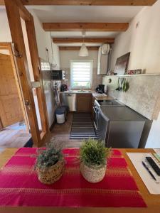 a kitchen with a table with two potted plants on it at Haus Reinsdorf in Blankenburg +4 photos