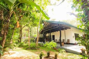 a building in the middle of a forest with trees at Shena resort in Habarana