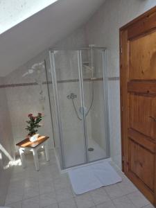 a shower with a glass door in a bathroom at Pension Eva in Domažlice +10 photos