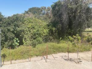 a fence in the dirt with trees in the background at Katima VVIP in Katima Mulilo
