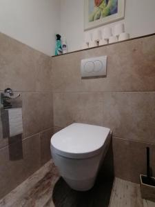a bathroom with a white toilet in a room at Mas de lasquiers in Saint-Paul-le-Jeune