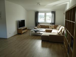 sala de estar con sofá y TV en Ruhige Ferienwohnungen mit Teichblick, en Wetterfeld