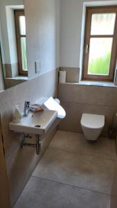 a bathroom with a sink and a toilet at Landhof Fischer in Geiersthal