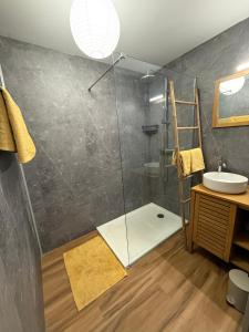 a bathroom with a glass shower and a sink at Coeur SAINT-PAUL in Saint-Paul +17 photos