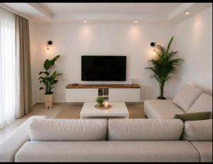 a living room with a couch and a flat screen tv at Apartmani EMMA in Kotor