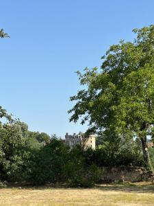 a castle in the distance with a tree in the foreground at Chambre d'hôtes bed and breakfast in La Chapelle-Faucher