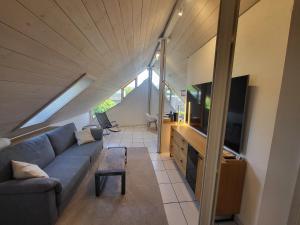 a living room with a couch and a tv at Ferienwohnung Überblick -mit Klimaanlage in Radolfzell am Bodensee