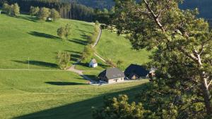 an aerial view of a house on a green field at Kapellenhof Ferienwohnungen in Triberg