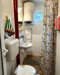 a small bathroom with a toilet and a sink at Reževići apartment Lav in Reževići