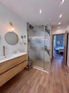 a bathroom with a shower and a sink at Les Chambres Salonaises in Salon-de-Provence
