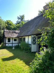 a small white house with a dog in the yard at Guest house Æbelnæs, Møn in Stege