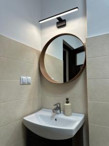 a bathroom with a sink and a mirror at Family Nest Băișoara - Confort Premium, Wi-Fi rapid, ciubăr la cerere și view spectaculos in Muntele Băişorii +116 photos