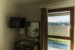 a room with a television and a window with a field at Motel Le Léman in Commugny