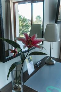 Fotografie z fotogalerie ubytování Motel Le Léman v destinaci Commugny