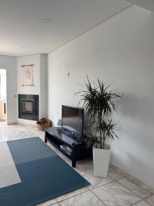 a living room with a tv and a potted plant at Apartamento próximo da praia e do centro da cidade in Póvoa de Varzim