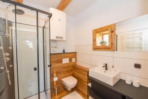 a bathroom with a toilet and a sink and a shower at Haus Sunnseit'n in Pöllauberg