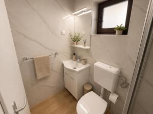 a white bathroom with a toilet and a sink at Ranč Zlatne niti by Acin salaš in Tordinci +24 photos